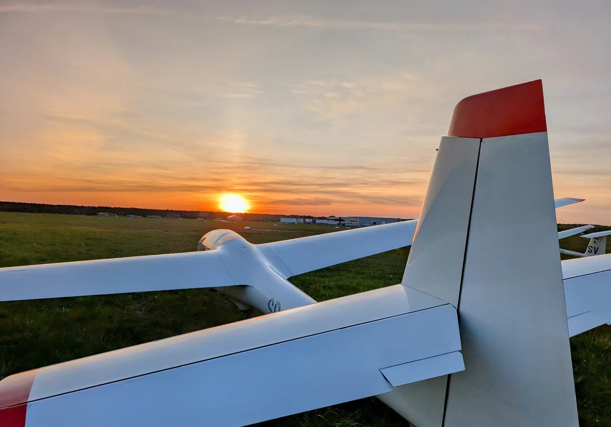 Gliders parked on the grass at sunset, a red-tipped tail against the low sun